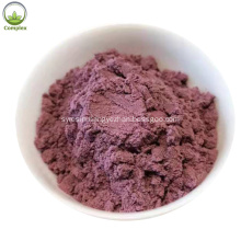 organic wild blueberry powder in bulk